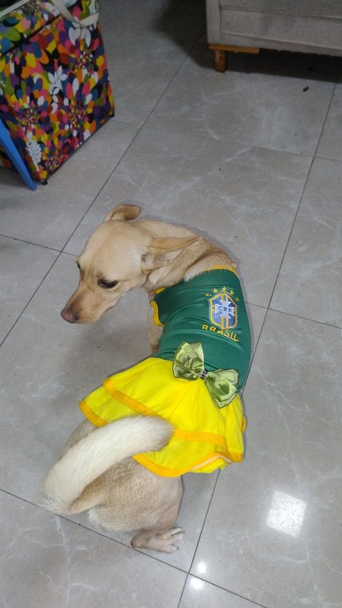Moana usando roupinha temática do Brasil