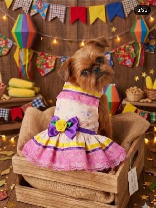 Cão vestindo vestido temático de festa junina, com laço roxo