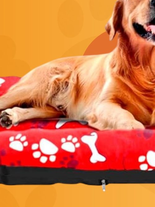 Colchonete para pet estampado com patinhas e ossinhos